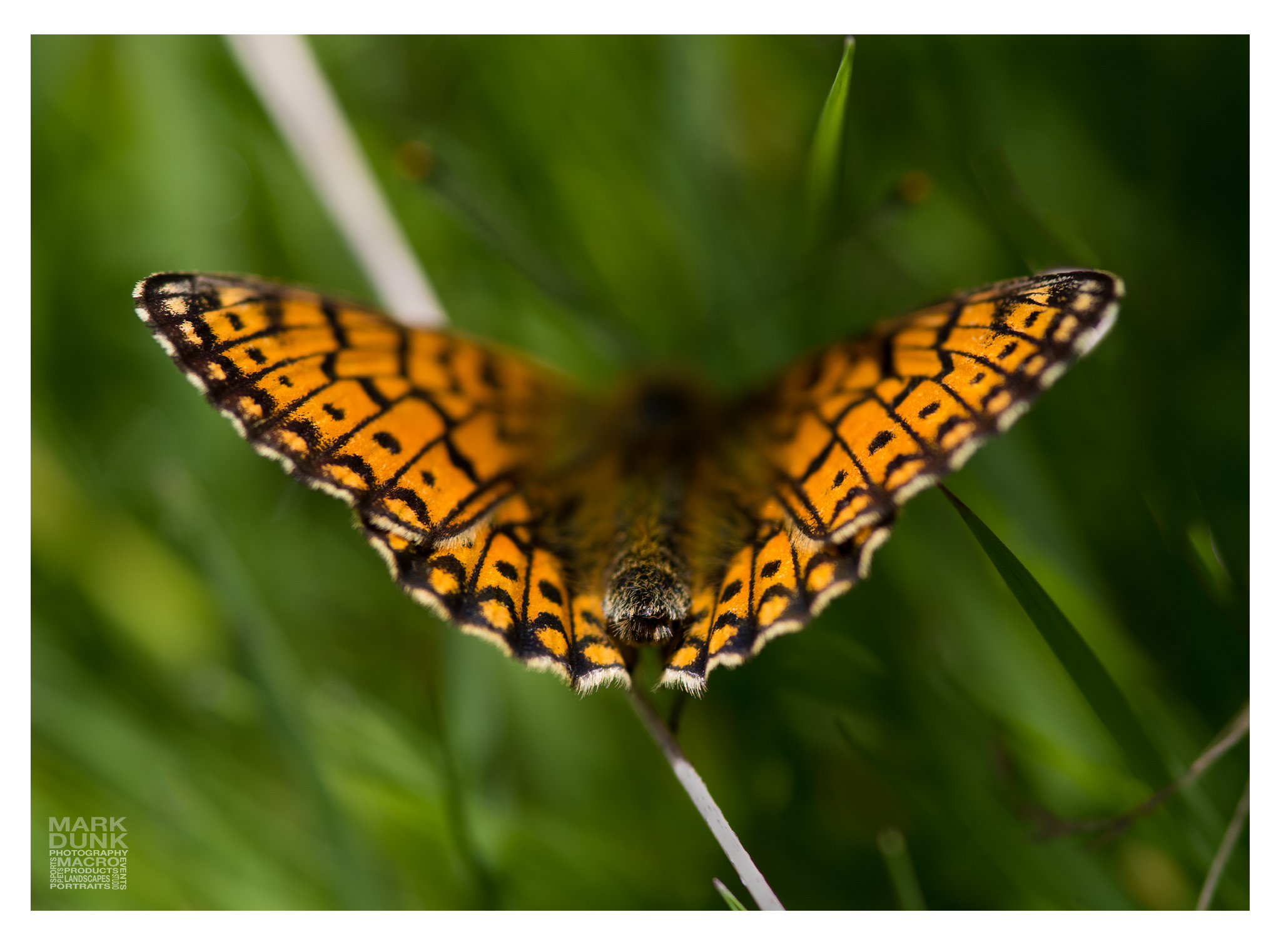 Comment Image
