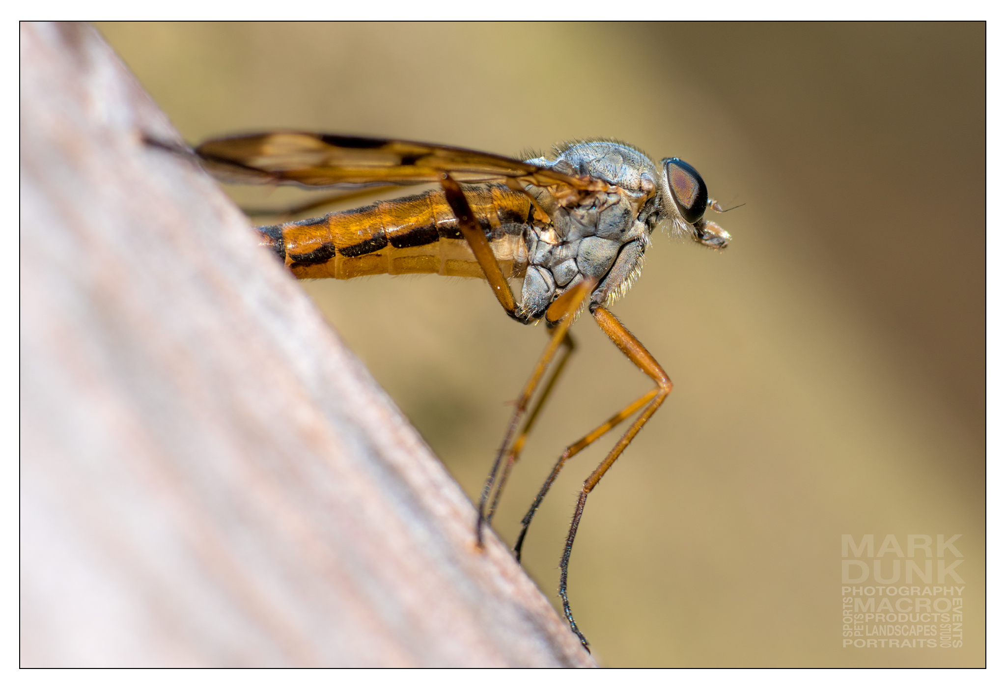 Comment Image